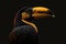 Isolated portrait of a toucan bird striking a pose, animals, birds