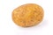 Isolated potato tuber