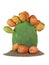 Isolated prickly pear cactus full fruit