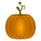 Isolated pumpkin image