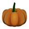 Isolated pumpkin image