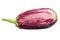 Isolated purple eggplant. One fresh eggplant graffiti over white background