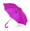 Isolated purple umbrella in white background