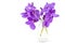 Isolated purple Vanda orchid, violet orchid in a bottle