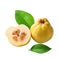Isolated quince fruit with green leaf next to another half quince on cutout PNG transparent background. Generative AI