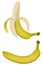 Isolated realistic bananas illustration