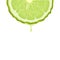 Isolated realistic colored half circle slice of green color juicy bergamot with drop of juice or oil on white background.