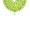 Isolated realistic colored half circle slice of green color juicy lime with drop of juice on white background.