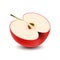 Isolated realistic colored half slice of juicy red apple with shadow on white background. Side view.