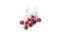 Isolated Red grapes splashing and sinking in water on white background