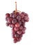 Isolated red grapes on a stem