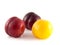 Isolated red and yellow ripe plums (white)