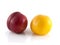 Isolated red and yellow ripe plums (white)
