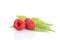 Isolated ripe raspberries on white