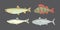 Isolated river fish. Set of freshwater sea cartoon fishes.