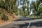 Isolated road in the hill of western ghat