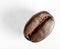 Isolated roasted coffee bean