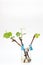 Isolated rooted grapevine cuttings with green young leaves on a white background. The process of growing vines at home