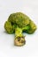 Isolated rotten broccoli on white background