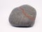 Isolated rounded stone with mineral veins.  Stone brown