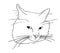 Isolated sad offended cat muzzle in black and white colors, outline hand painted sketch drawing