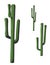 Isolated Saguaro Cactus