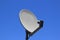 Isolated satellite dish