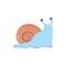 Isolated sea snail vector design