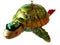Isolated Sea Turtle Ornament