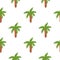 Isolated seamless pattern with green coconut palm tree ornament. White background. Nature doodle shapes