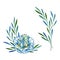 Isolated set of watercolor decor with white rosehip flower and graceful blue branches