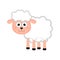 Isolated sheep comic cartoon