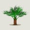 Isolated Short Trunk Date Palm Tree Vector Illustration