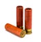 Isolated shotgun shells