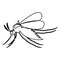 Isolated and silhouette mosquito design