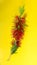 Isolated single flower stem macro image of the red Weeping Bottlebrush