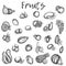 Isolated sketches of fruits. Apple and melon, avocado and kiwi Sketch of vinage vector icons of plum, peach and mango