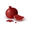 Isolated slice of ruby colorful pomegranate and whole round fruit with shadow on white background. Realistic colored juicy