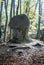 Isolated snadstone rock in autumn forest in Sulovske skaly mountains near Stefanikova vyhliadka in Slovakia