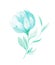 Isolated softness teal colored floral design elements. Abstract flower and leaves on white background