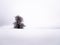 Isolated solitary tree on white snowy and cloudy background surrounded by mysterious gloomy landscape