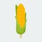 Isolated Standing Thanksgiving Corn Vector Illustration