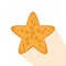 Isolated starfish icon