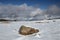 Isolated stone in a snowy landscape in Pyrenees