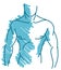 Isolated Stylized muscular man in blue