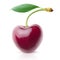 Isolated sweet cherry with short stem and leaf