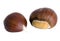 Isolated sweet chestnut (Castanea sativa) fruits