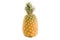 Isolated Taiwanese pineapple, fruit