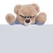 Isolated teddy bear holding an empty sign or placard for advertising