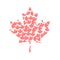 Isolated textured maple leaf